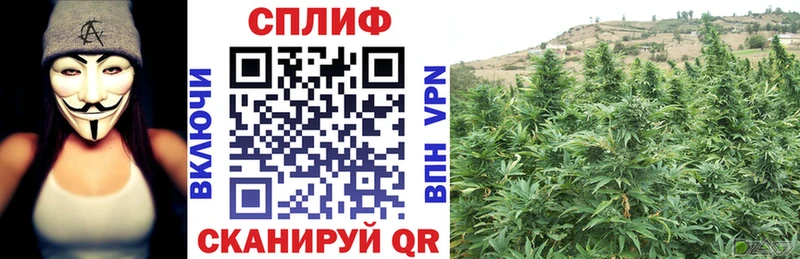 Купить наркотик аптеки Зубцов Канабис  A-PVP  Гашиш 